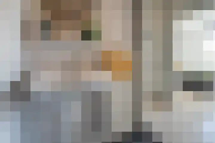 Hora Siccamasingel 9 Groningen thumbnail 29