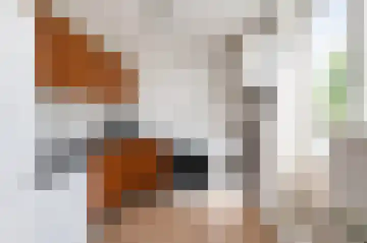 Hora Siccamasingel 91 Groningen thumbnail 17