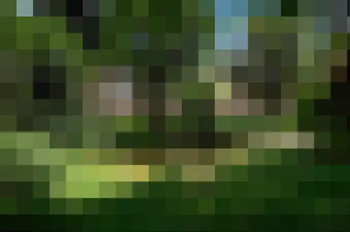 Hora Siccamasingel 91 Groningen thumbnail 28