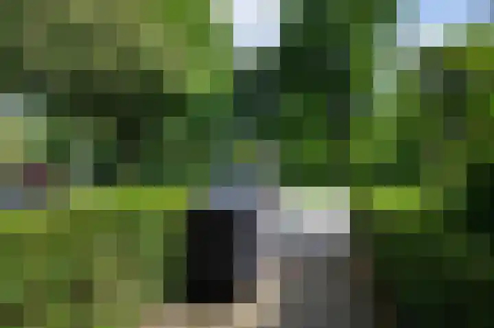 Hora Siccamasingel 91 Groningen thumbnail 5