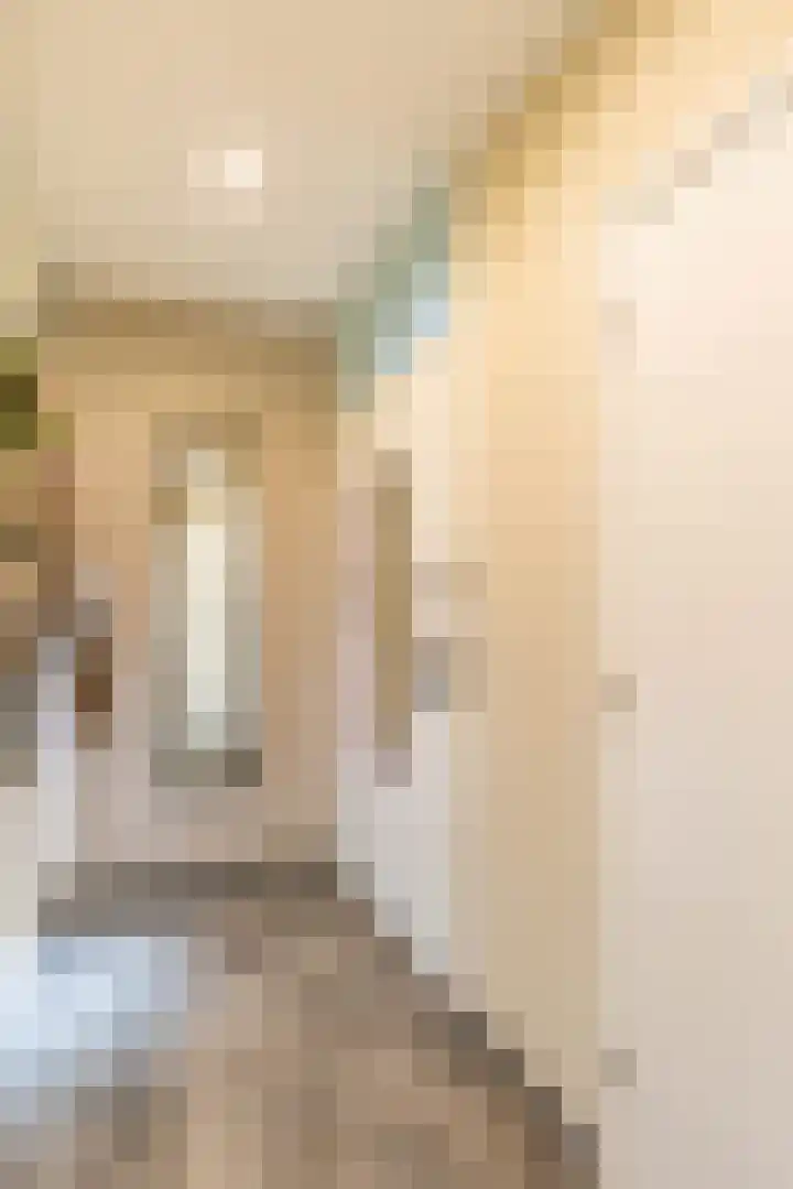 Hora Siccamasingel 95 Groningen thumbnail 10