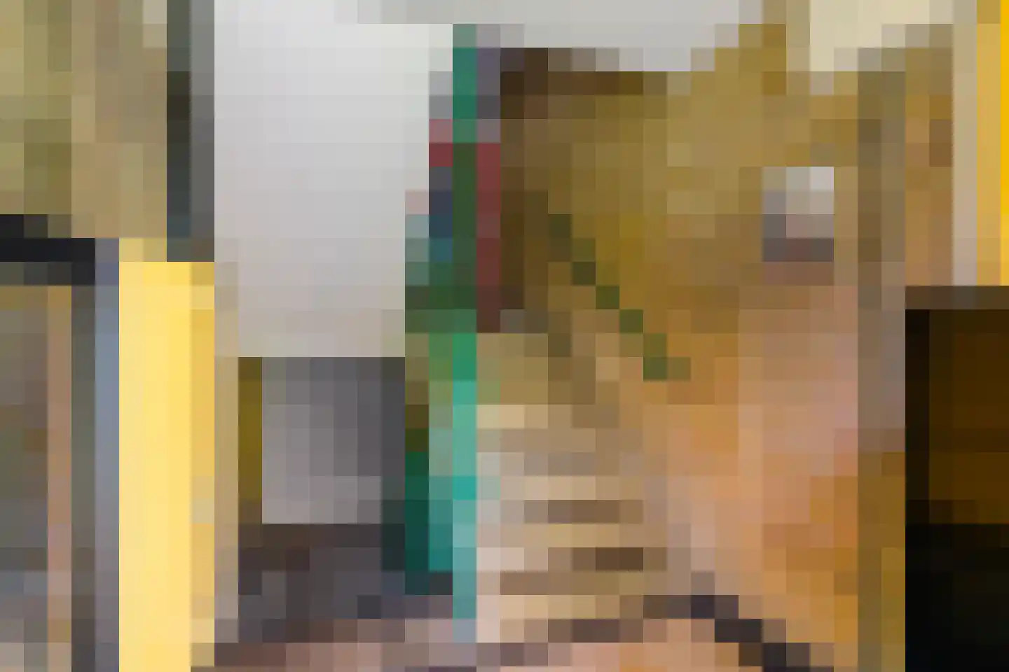 Hora Siccamasingel 95 Groningen thumbnail 14