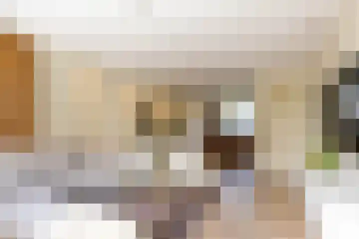 Hora Siccamasingel 95 Groningen thumbnail 15