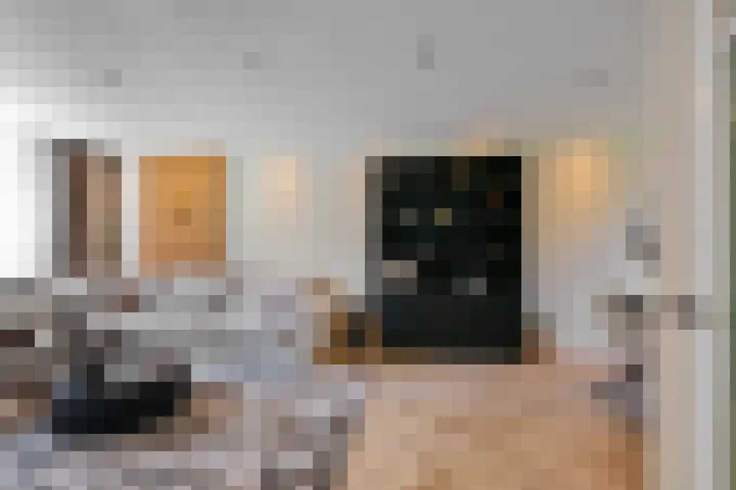 Hora Siccamasingel 95 Groningen thumbnail 16