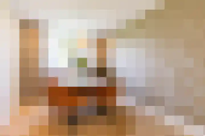 Hora Siccamasingel 95 Groningen thumbnail 17