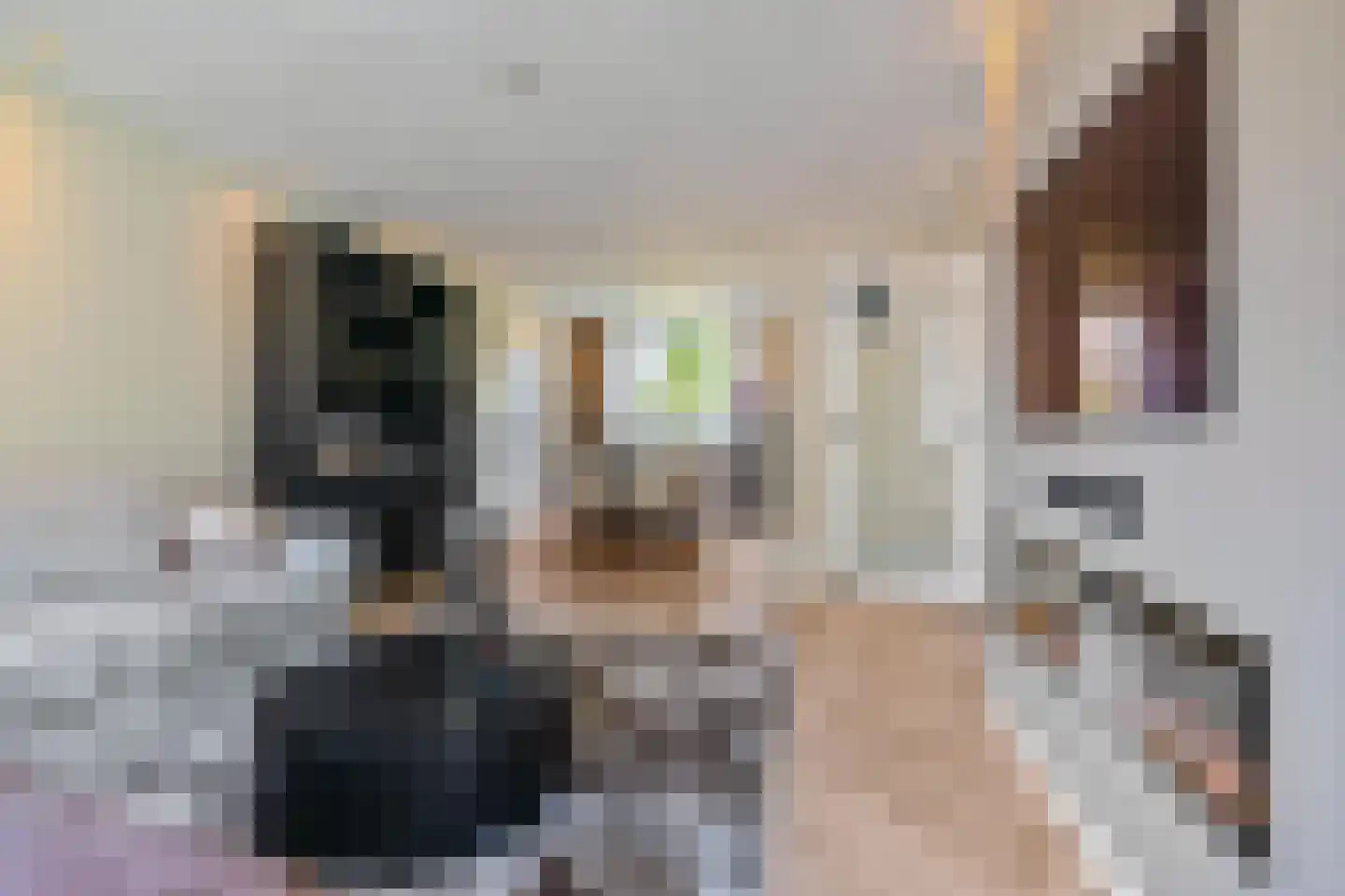 Hora Siccamasingel 95 Groningen thumbnail 18