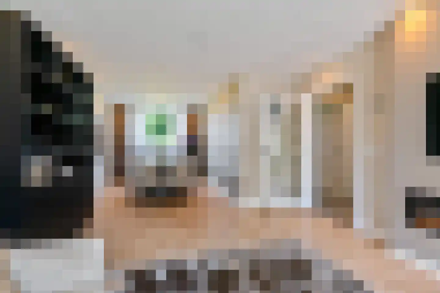 Hora Siccamasingel 95 Groningen thumbnail 19