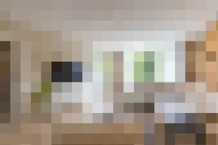 Hora Siccamasingel 95 Groningen thumbnail 19