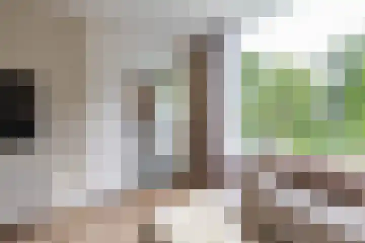 Hora Siccamasingel 95 Groningen thumbnail 20