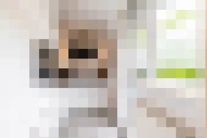 Hora Siccamasingel 95 Groningen thumbnail 21