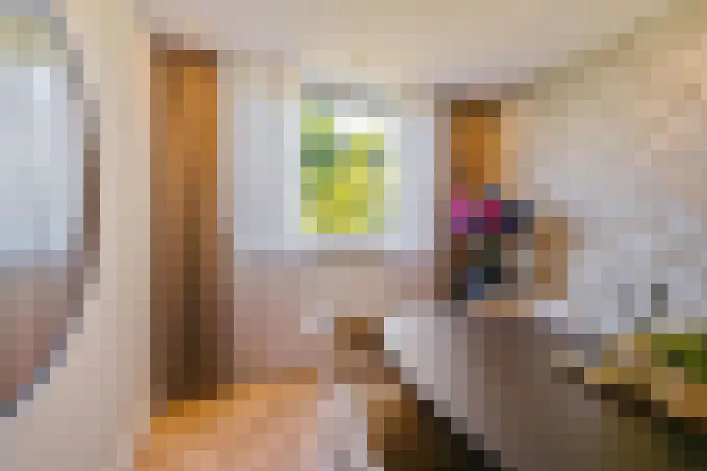 Hora Siccamasingel 95 Groningen thumbnail 21