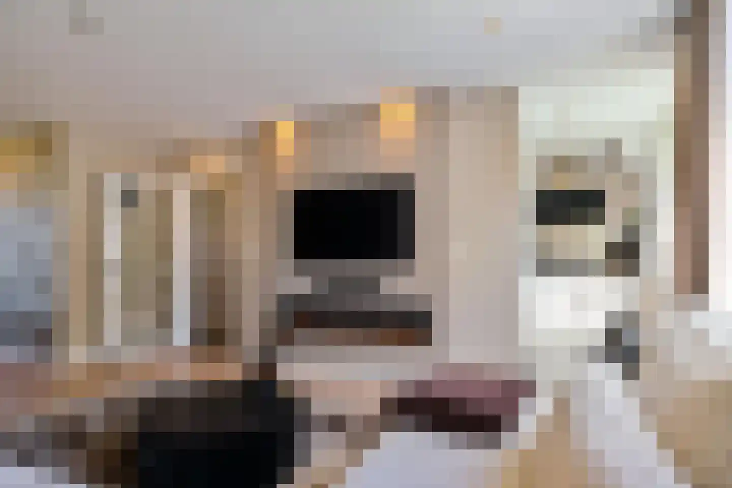 Hora Siccamasingel 95 Groningen thumbnail 22