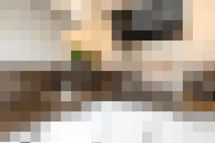 Hora Siccamasingel 95 Groningen thumbnail 23