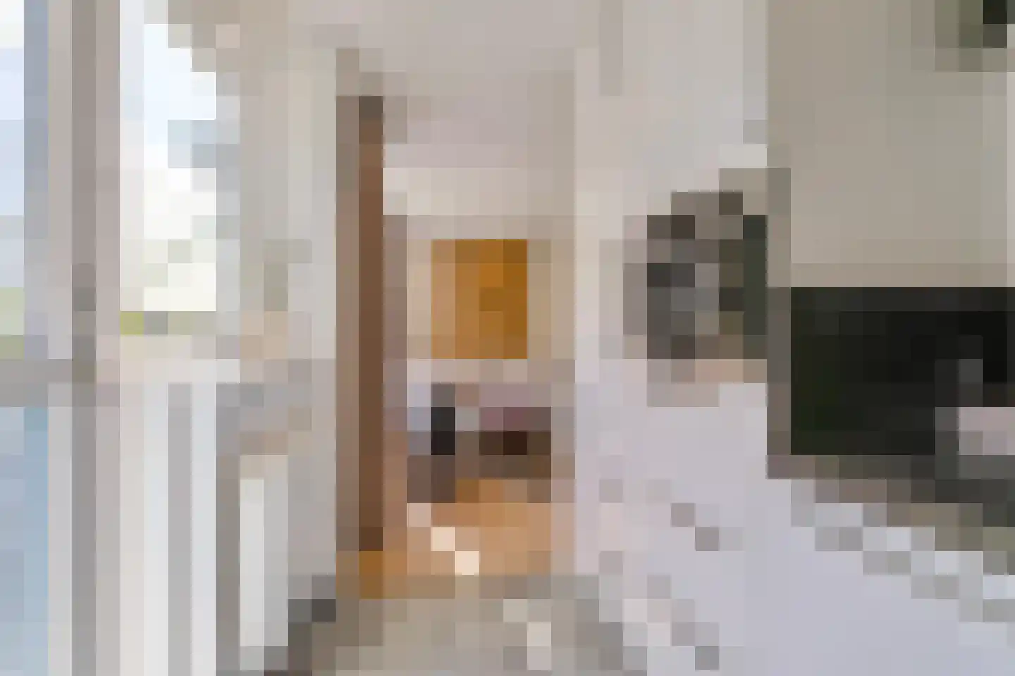 Hora Siccamasingel 95 Groningen thumbnail 24