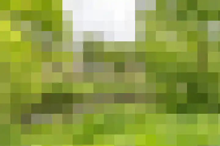 Hora Siccamasingel 95 Groningen thumbnail 26