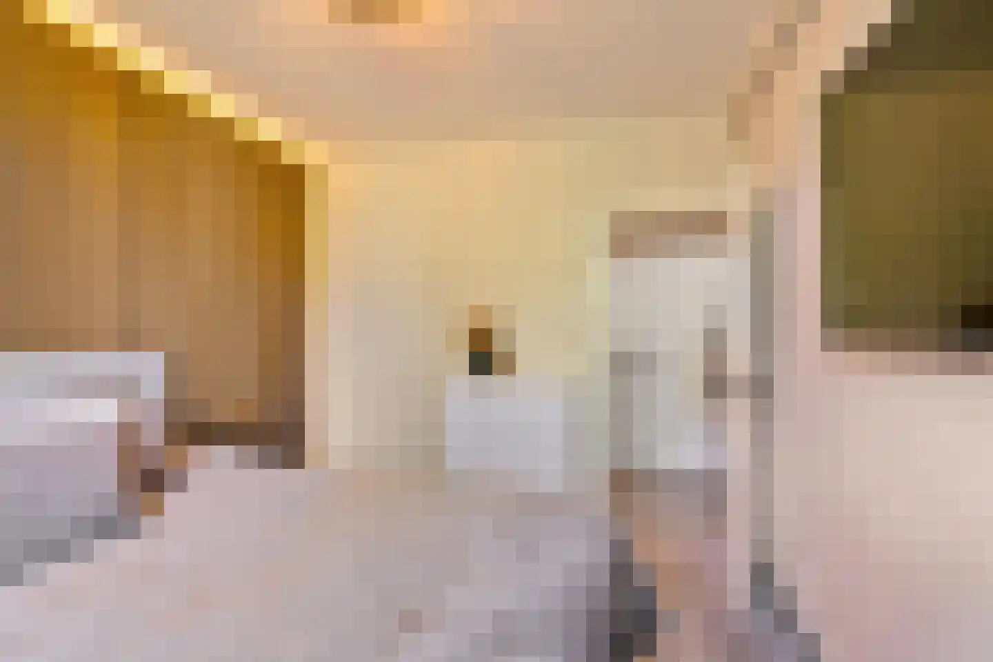 Hora Siccamasingel 95 Groningen thumbnail 30