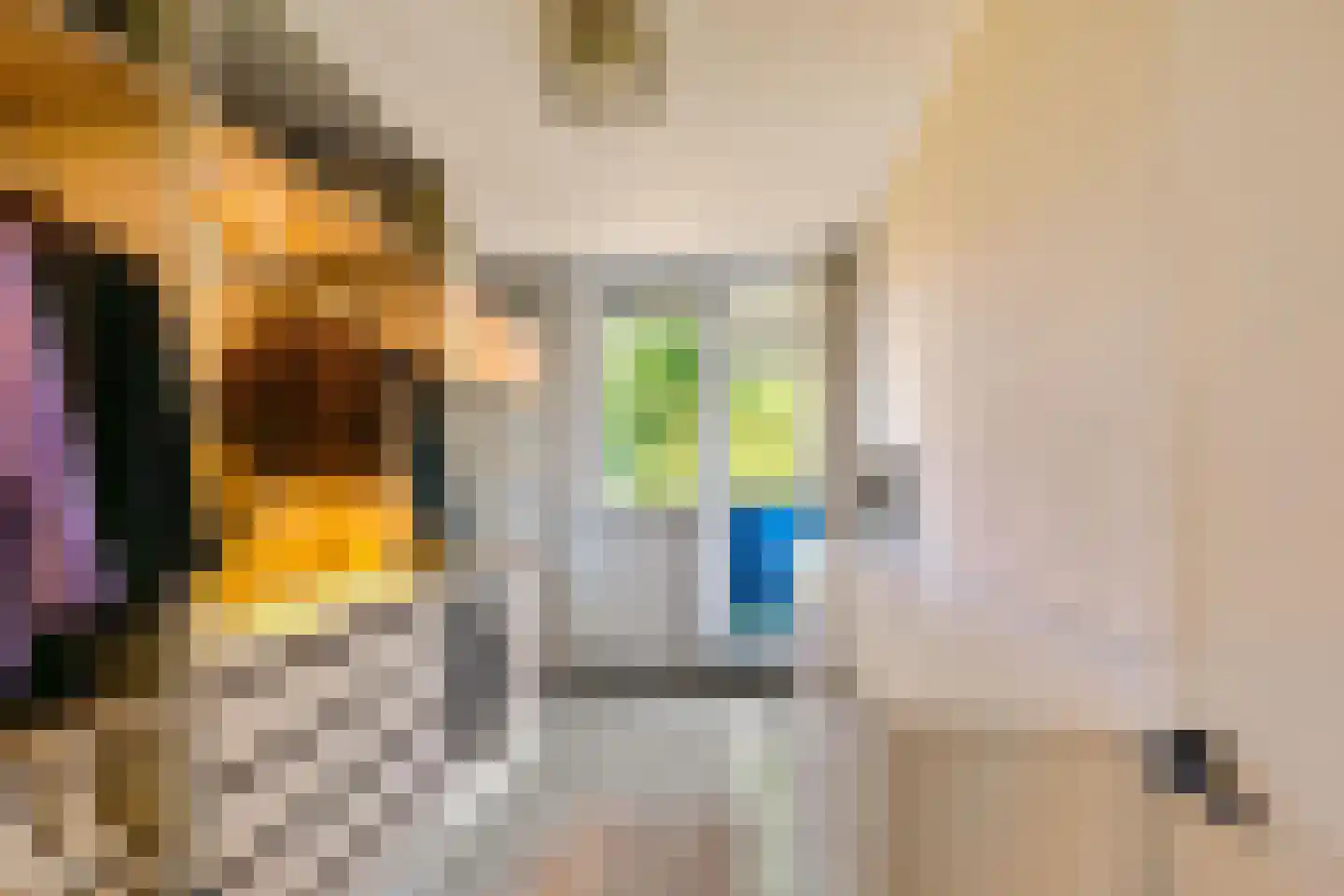 Hora Siccamasingel 95 Groningen thumbnail 32