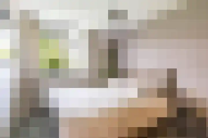 Hora Siccamasingel 95 Groningen thumbnail 33