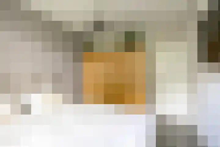 Hora Siccamasingel 95 Groningen thumbnail 34