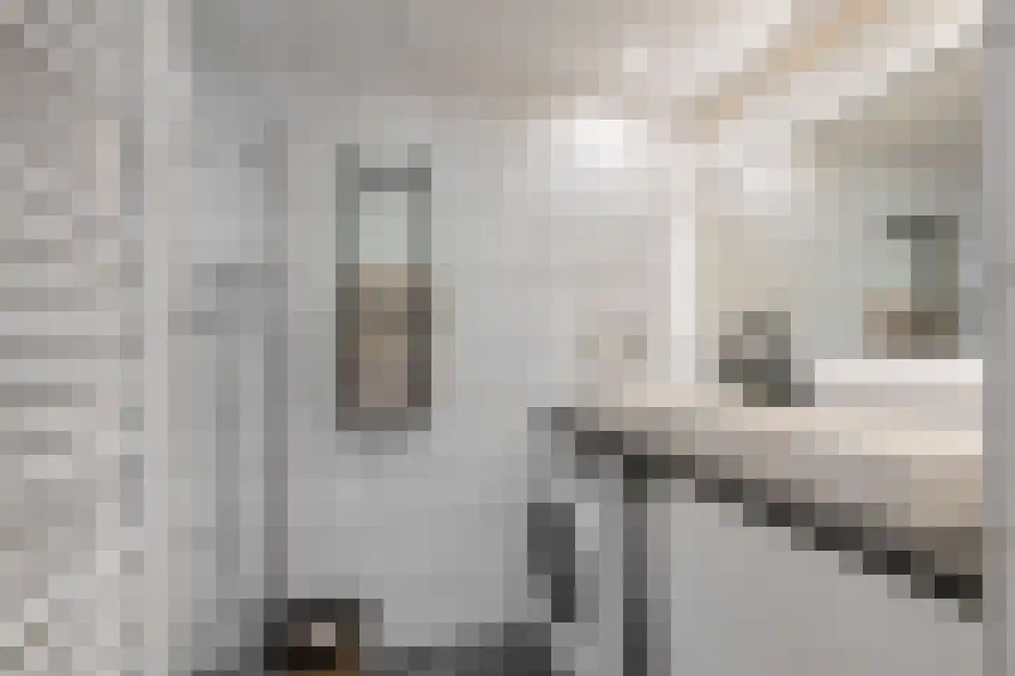 Hora Siccamasingel 95 Groningen thumbnail 37