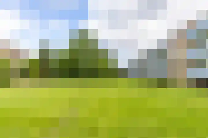 Hora Siccamasingel 95 Groningen thumbnail 39