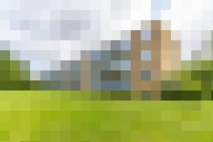 Hora Siccamasingel 95 Groningen thumbnail 4