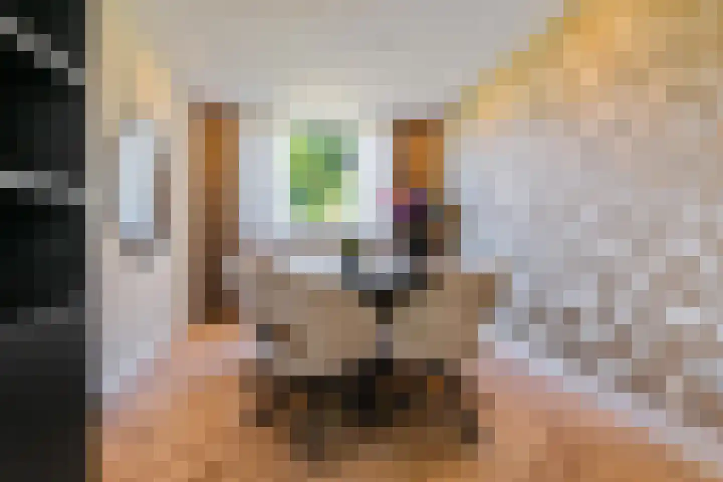 Hora Siccamasingel 95 Groningen thumbnail 4