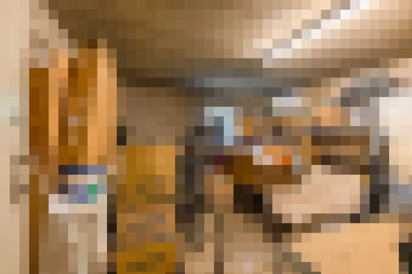 Hora Siccamasingel 95 Groningen thumbnail 43