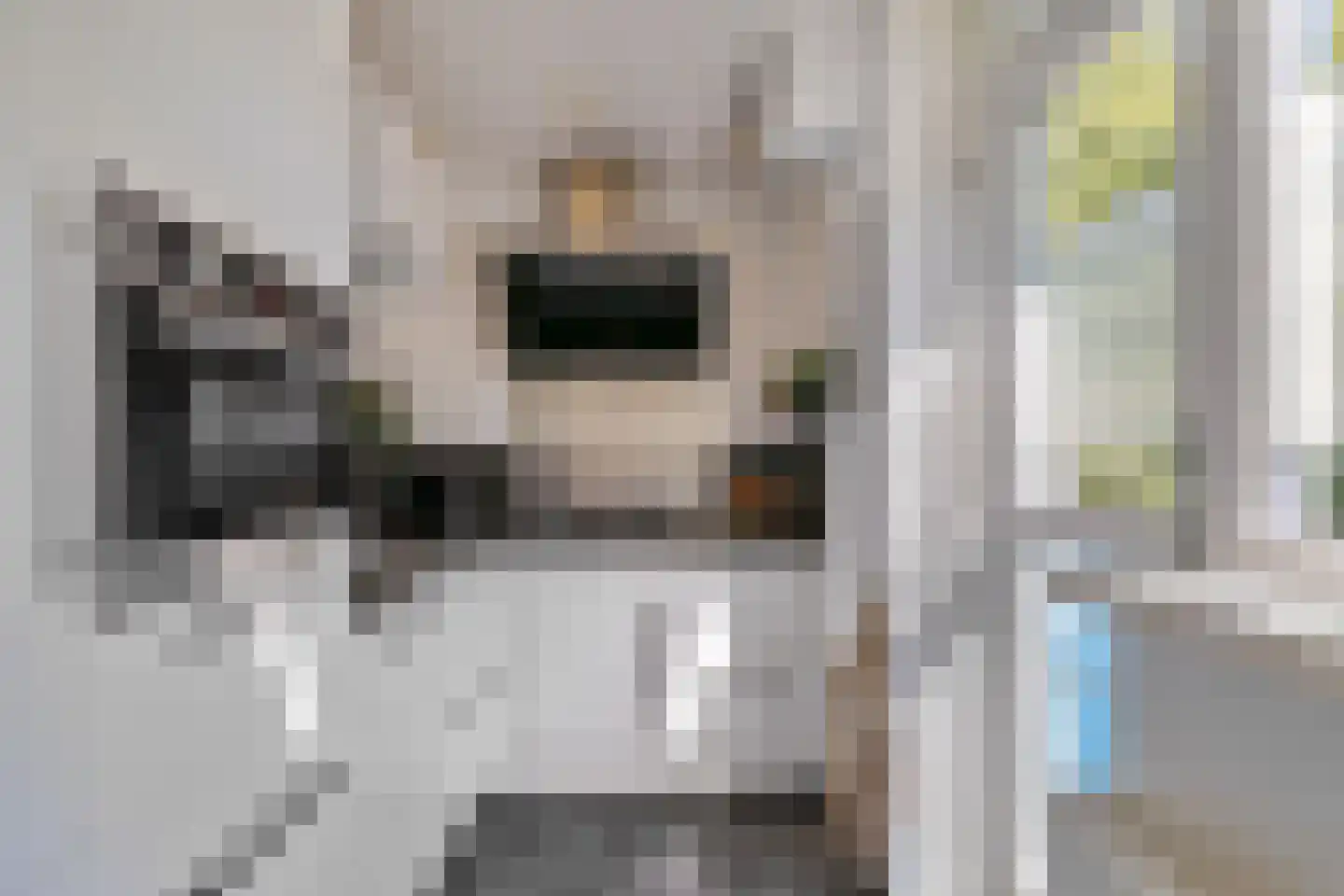 Hora Siccamasingel 95 Groningen thumbnail 6