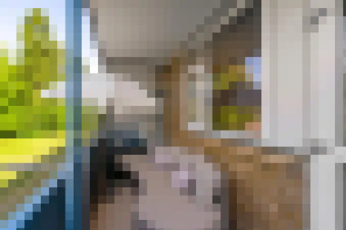 Hora Siccamasingel 95 Groningen thumbnail 7