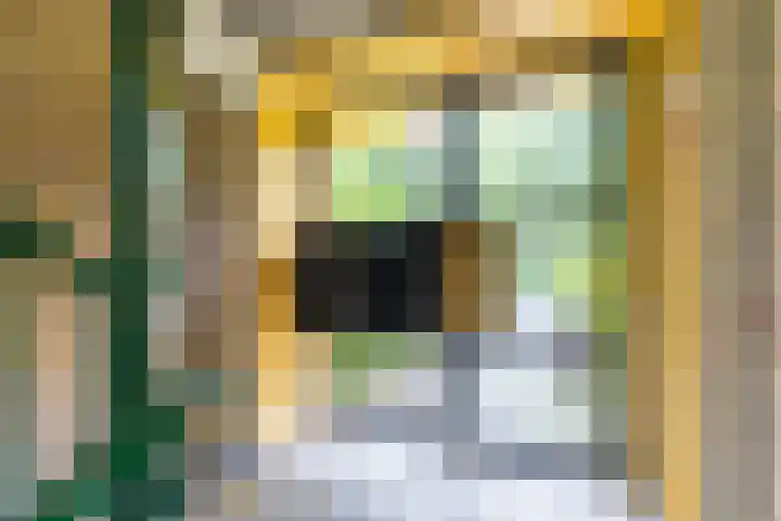 Hora Siccamasingel 95 Groningen thumbnail 8