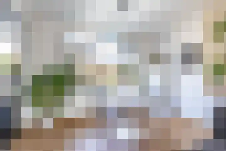 Hora Siccamasingel 99 Groningen thumbnail 14
