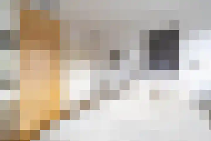 Hora Siccamasingel 99 Groningen thumbnail 20
