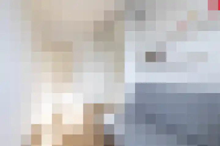 Hora Siccamasingel 99 Groningen thumbnail 22