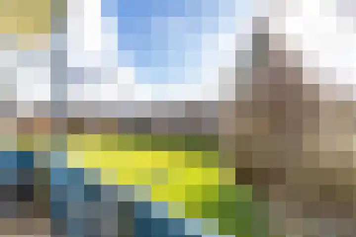 Hora Siccamasingel 99 Groningen thumbnail 28