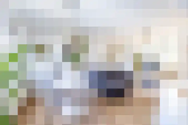 Hora Siccamasingel 99 Groningen thumbnail 9