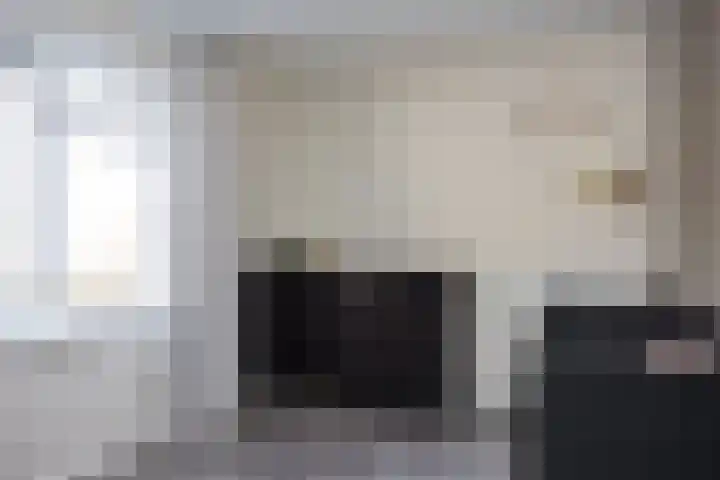Hora Siccamastraat 10 Ootmarsum thumbnail 19