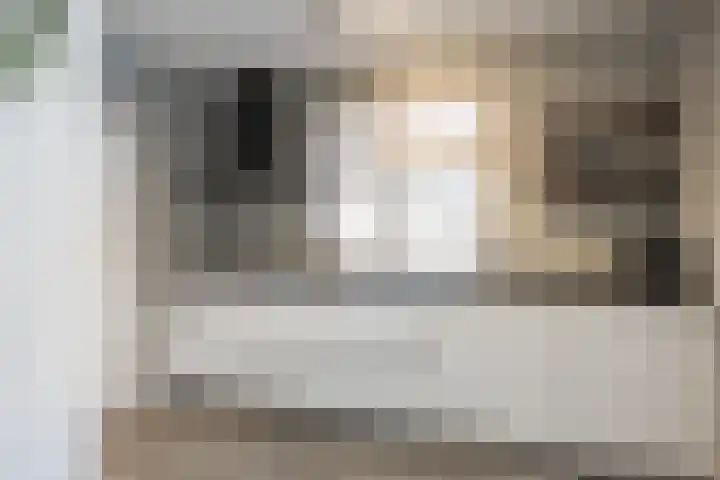 Hora Siccamastraat 10 Ootmarsum thumbnail 7