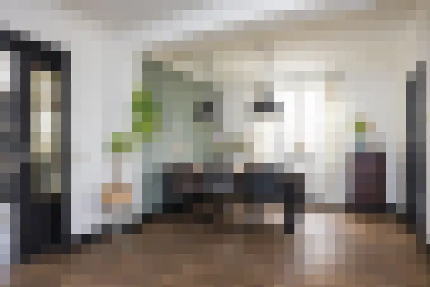 Hora Siccamastraat 12 Ootmarsum thumbnail 12