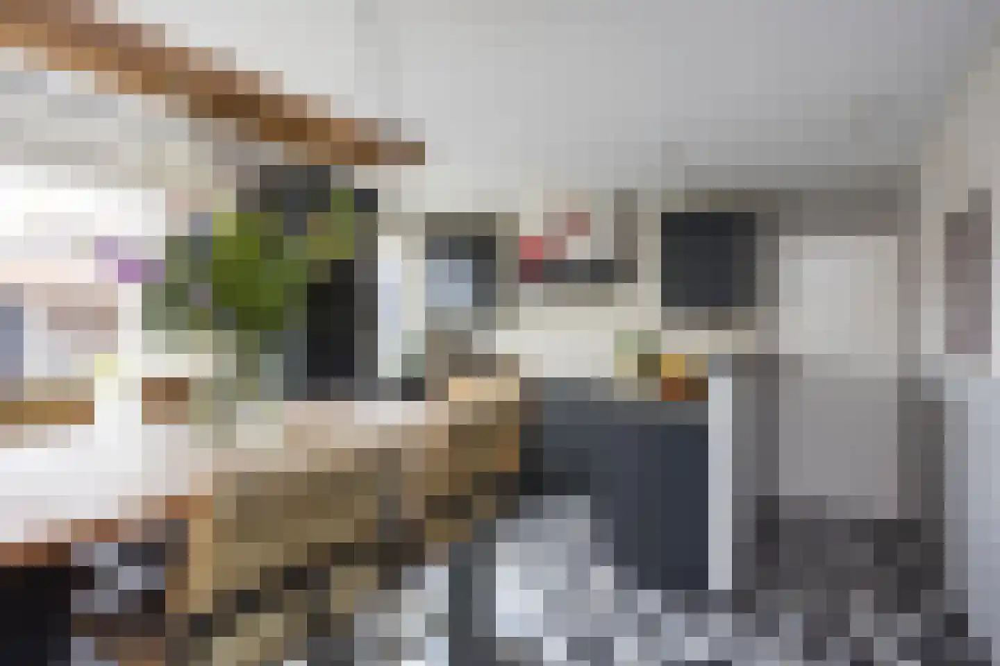 Hora Siccamastraat 12 Ootmarsum thumbnail 15