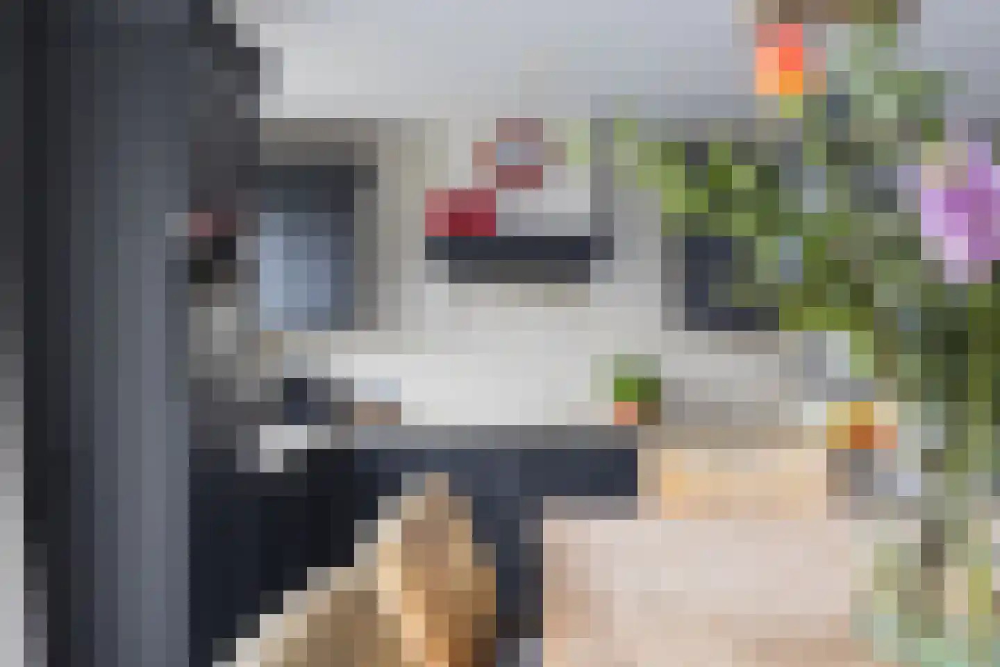 Hora Siccamastraat 12 Ootmarsum thumbnail 19