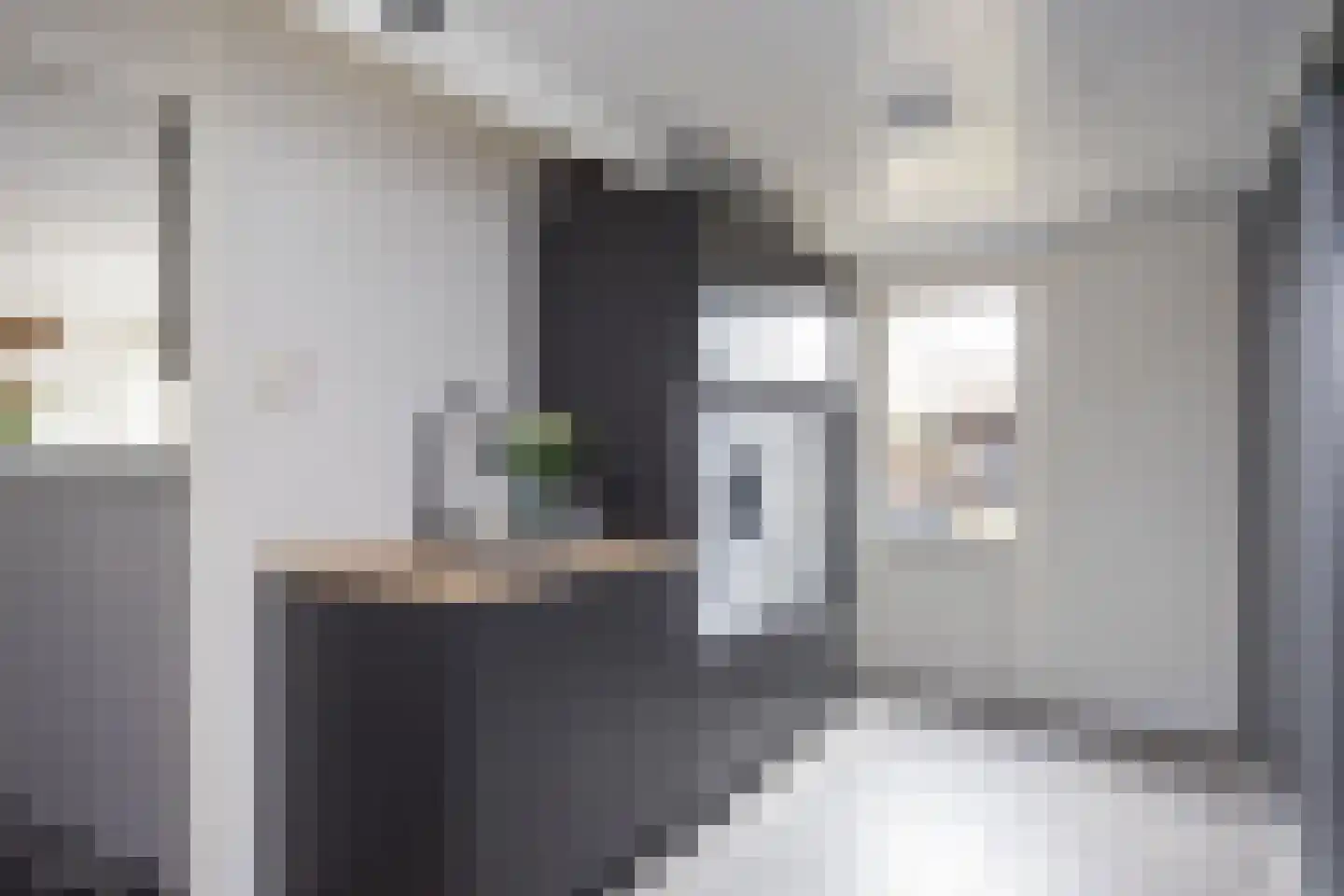 Hora Siccamastraat 12 Ootmarsum thumbnail 20