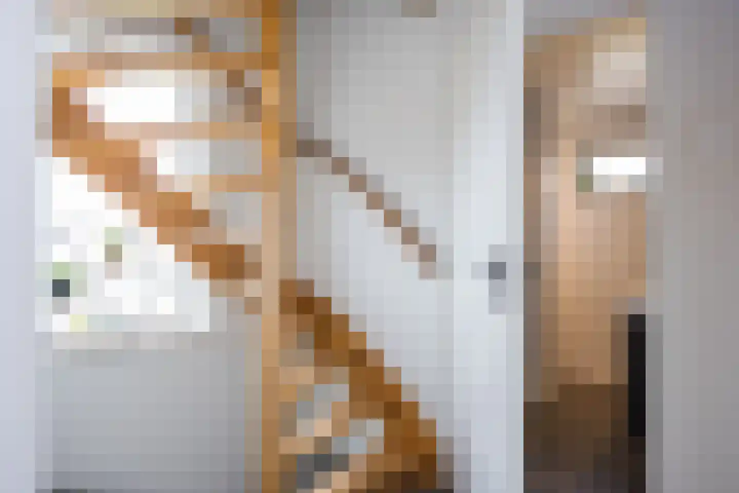 Hora Siccamastraat 12 Ootmarsum thumbnail 21