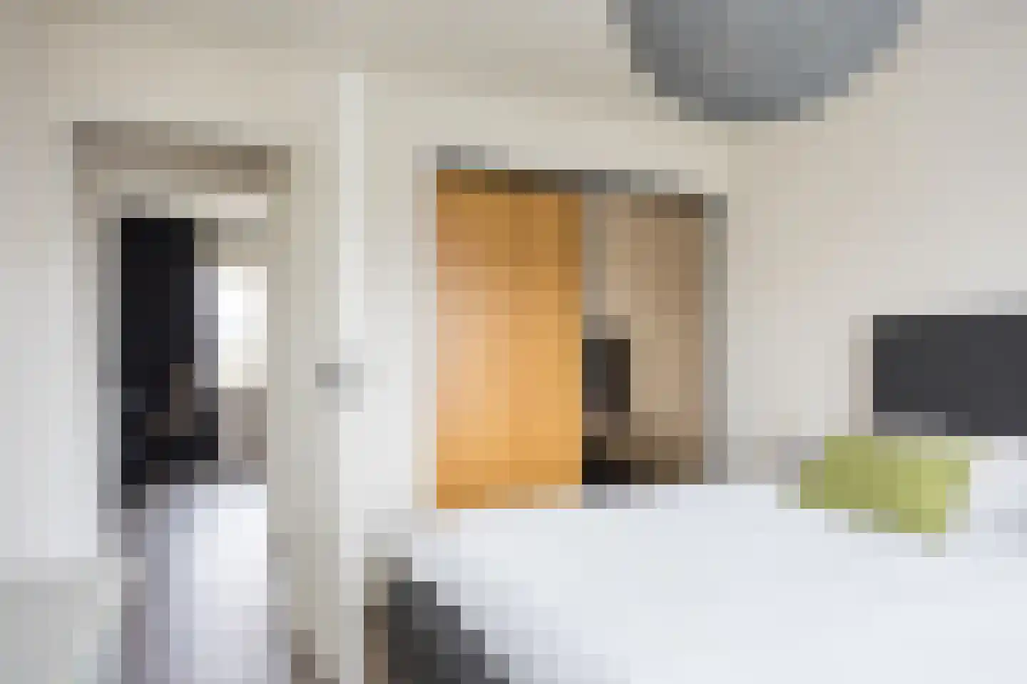 Hora Siccamastraat 12 Ootmarsum thumbnail 24