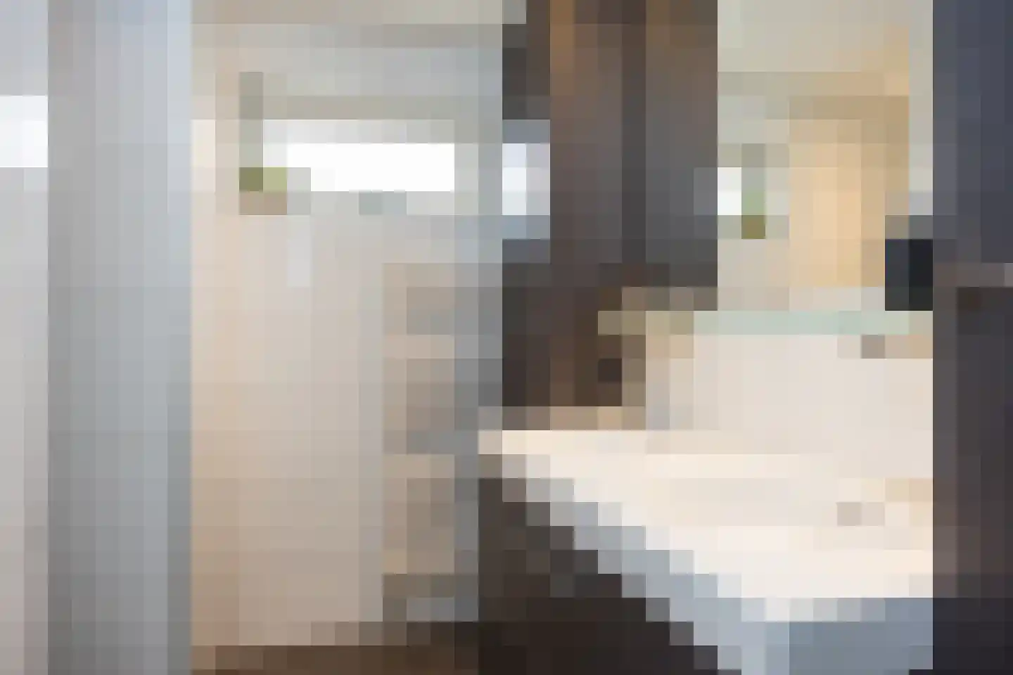 Hora Siccamastraat 12 Ootmarsum thumbnail 26