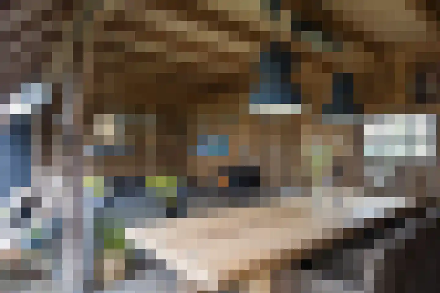 Hora Siccamastraat 12 Ootmarsum thumbnail 34