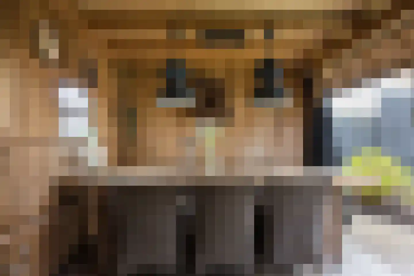 Hora Siccamastraat 12 Ootmarsum thumbnail 36