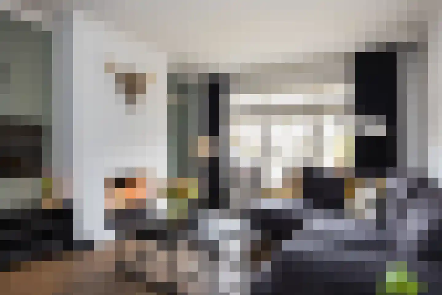 Hora Siccamastraat 12 Ootmarsum thumbnail 7