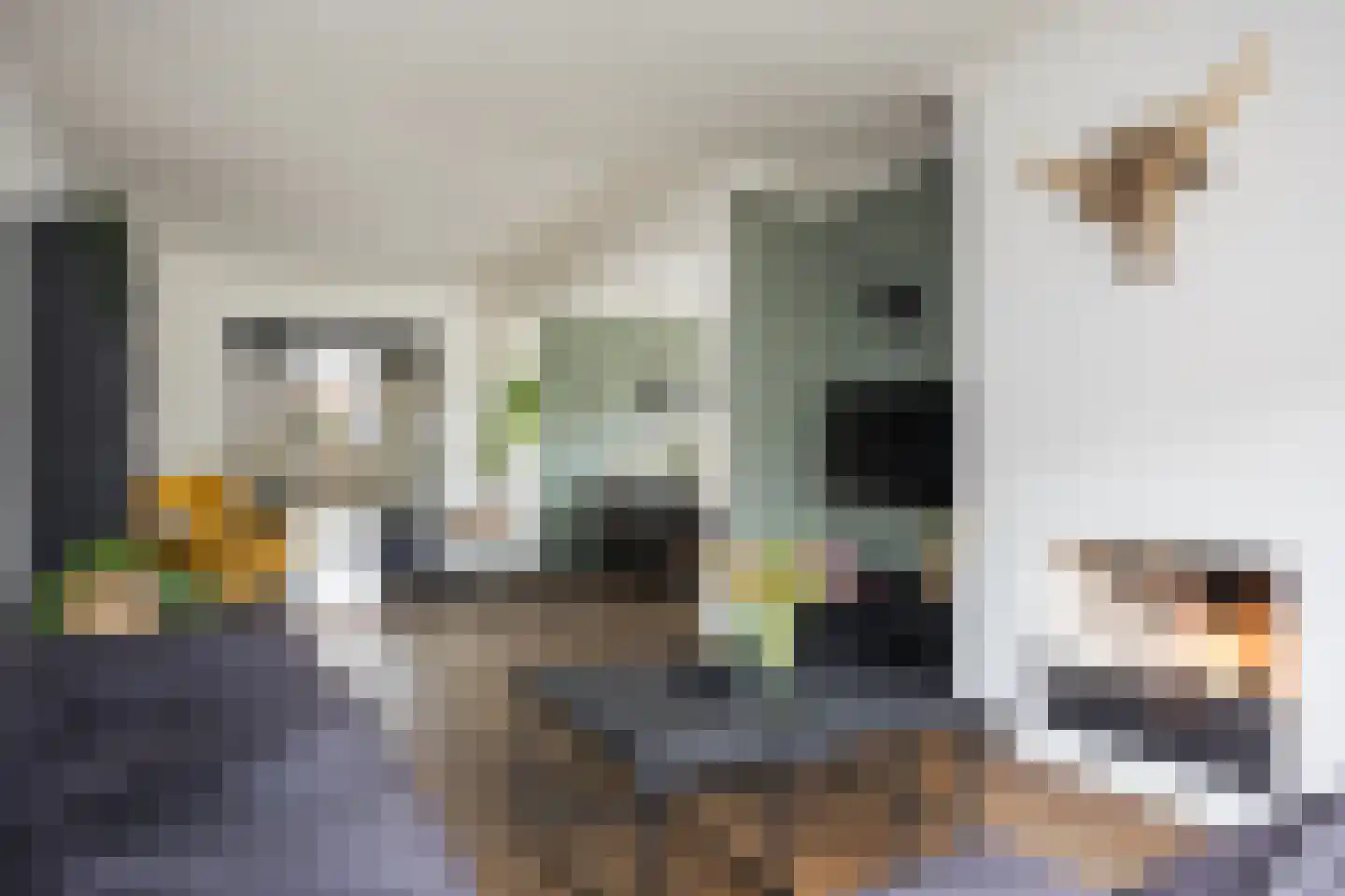 Hora Siccamastraat 12 Ootmarsum thumbnail 9