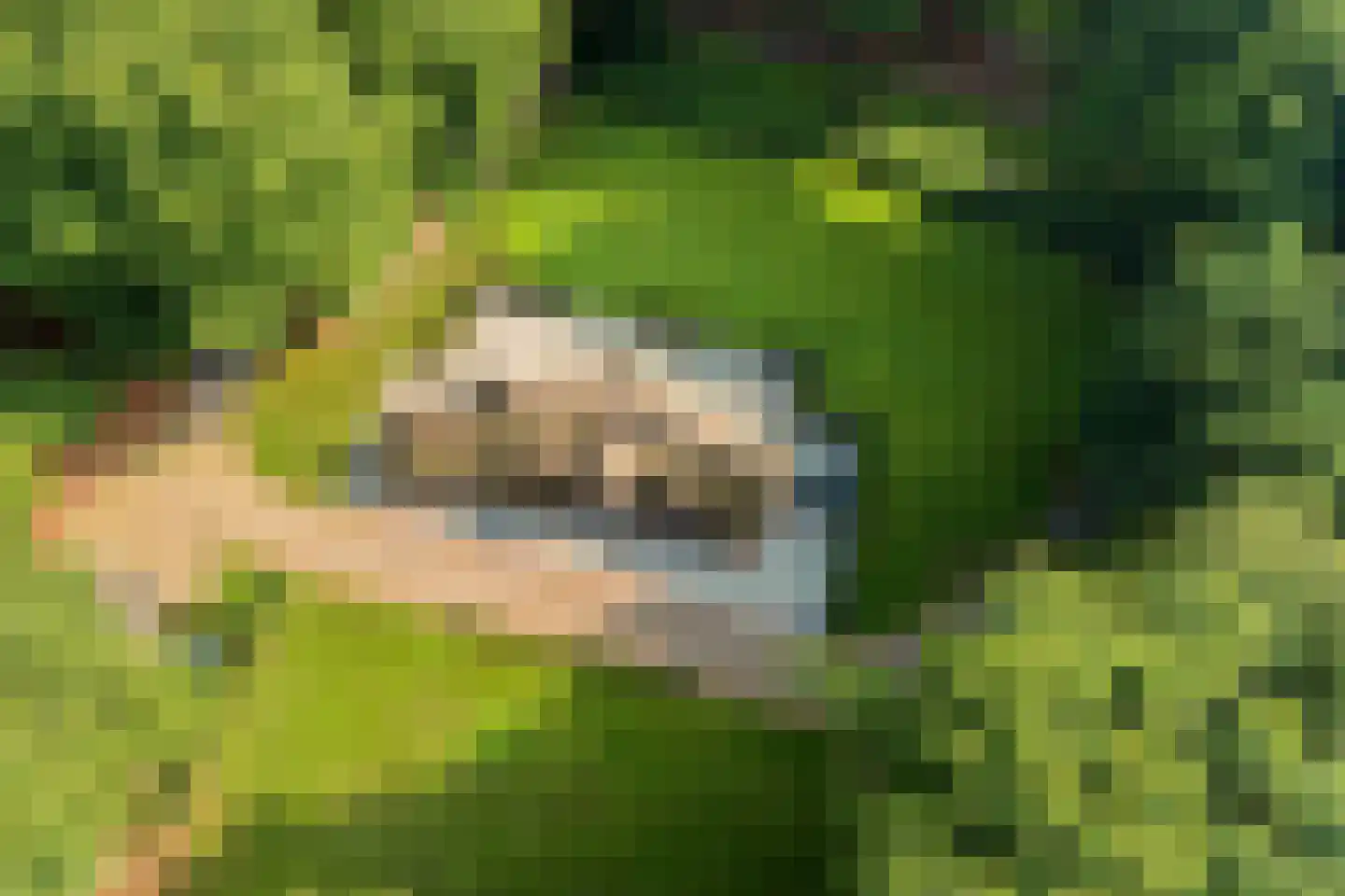Horalaan 1 Ede thumbnail 10